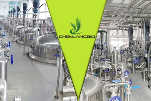 Our New Factory